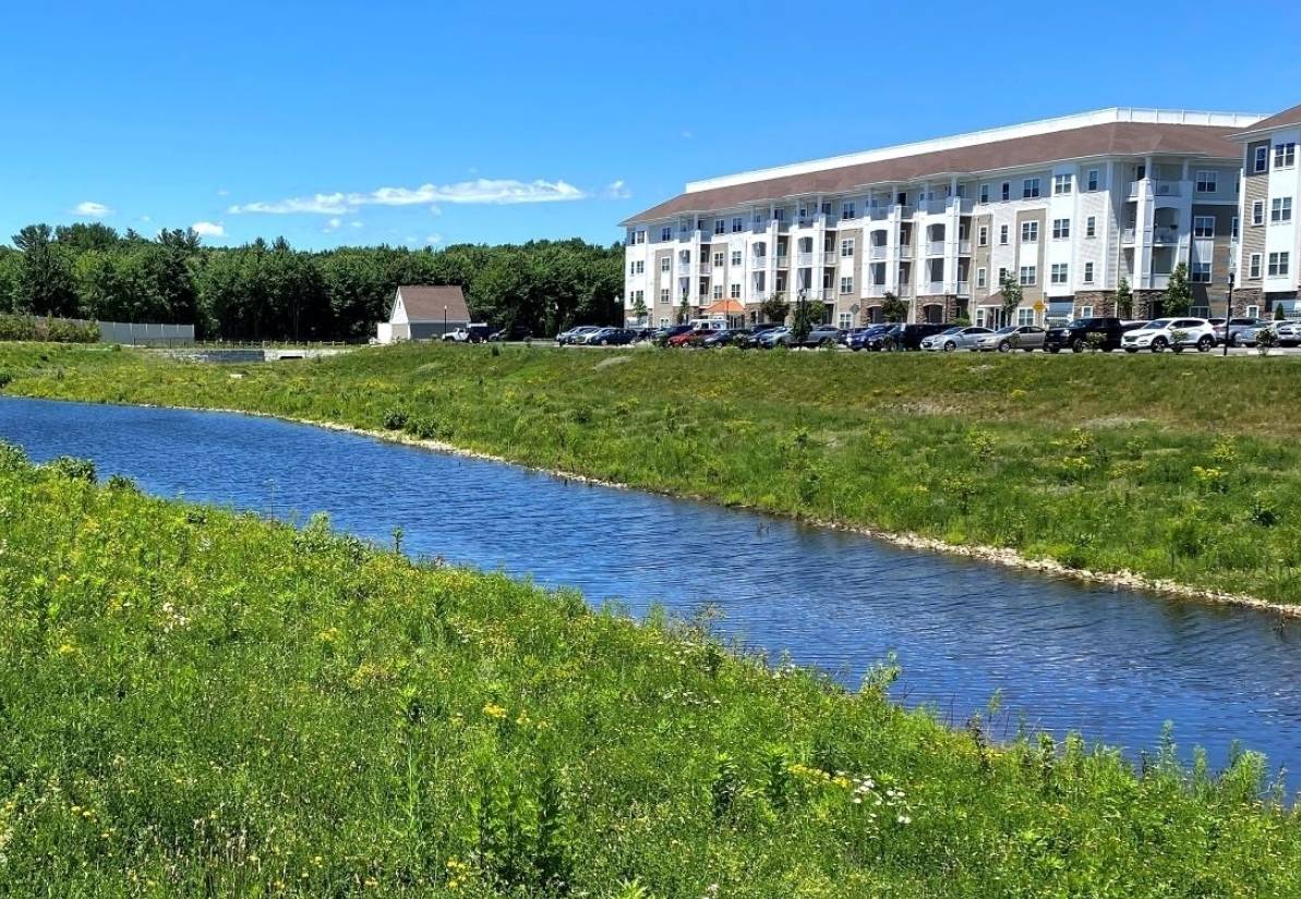 Rain Gardens