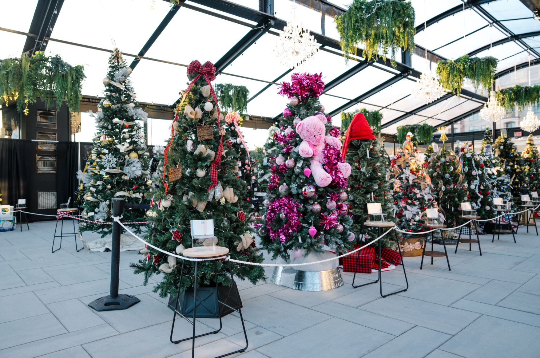 Festival of Trees